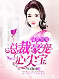 夏殊悅季安沉言情小說封面