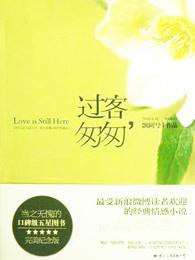 葉雨舒盛澤安的小說(shuō)名字叫什么封面