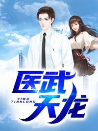 醫(yī)武天龍封面