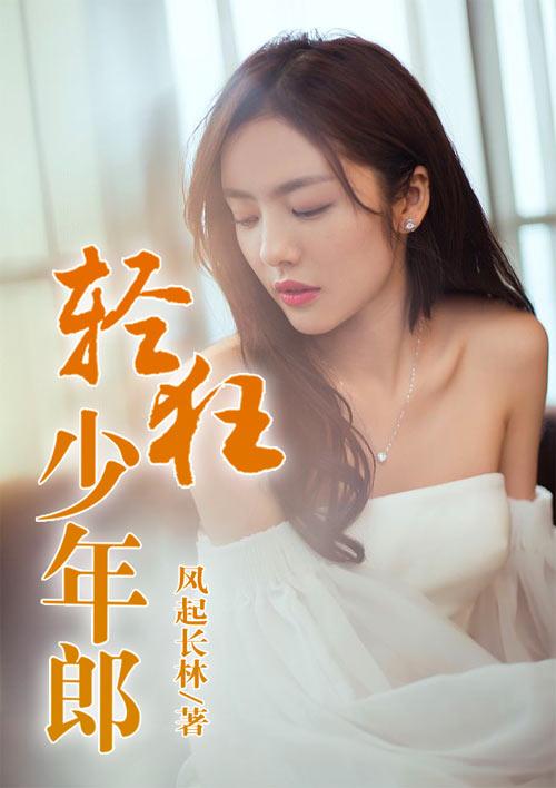 斗破之風云再起封面