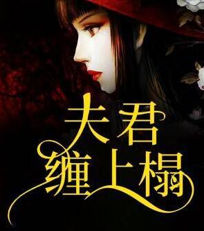 夫君纏上榻封面