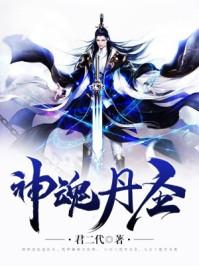 神魂丹圣封面