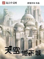 天空地下城封面