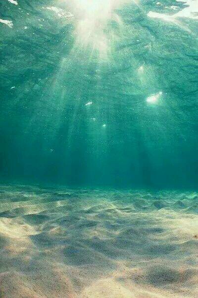 司戀戰(zhàn)南夜岑染封面