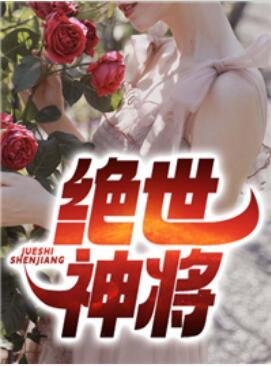 護(hù)國神將封面