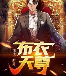 布衣天尊林峰蘇靈兒封面