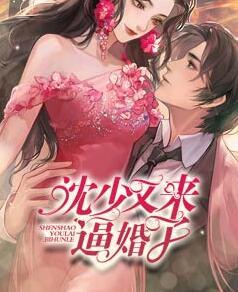 喬雨綿沈南風小說叫什么名字封面