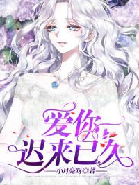 愛你遲來已久封面