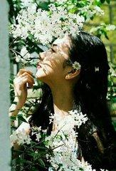 違心翻盤黎優(yōu)洛初封面