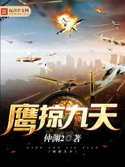 鷹掠九天封面