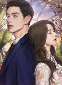 肖少追妻路且長封面