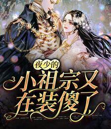 慕夏夜司爵 txt封面