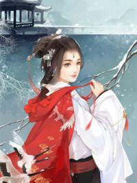 宇文皇云傾暖封面