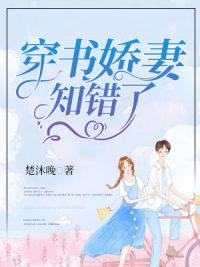 主角秦晏遲知夏小說封面