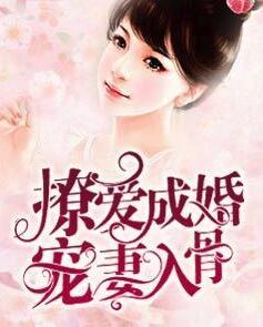 玄奕澈小說全文免費(fèi)閱讀封面