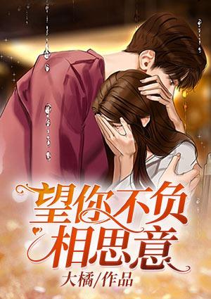 望你不負(fù)相思意封面