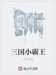 三國小霸王封面
