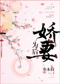 沈鳶秦赫最新章節(jié)封面