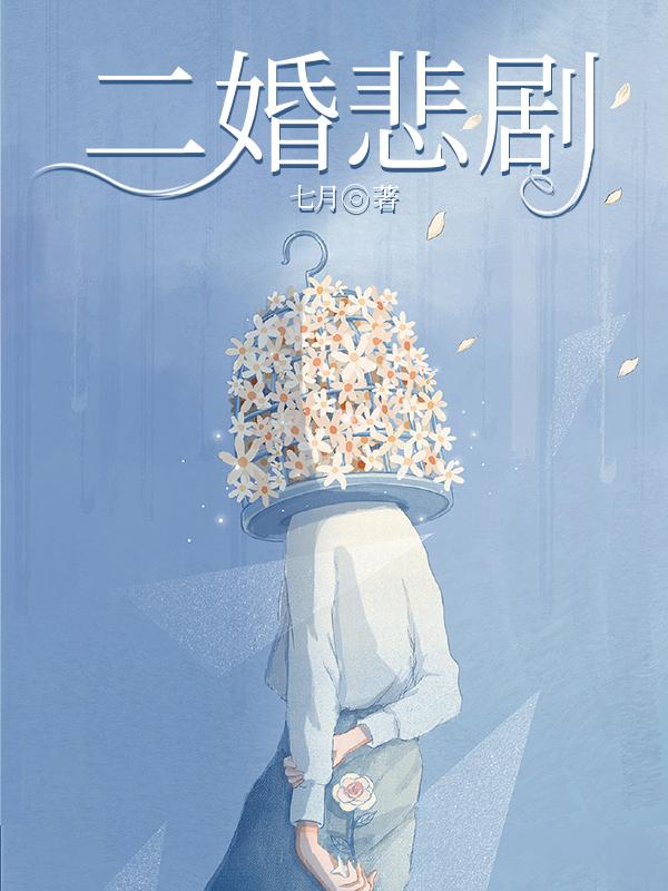 二婚悲劇封面