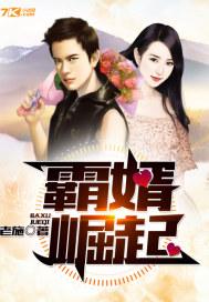 霸婿崛起（林知命姚靜）封面