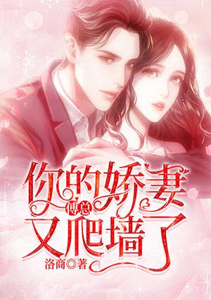 男主傅戰(zhàn)熙女主宋迎晚封面