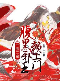 一胎二寶，腹黑邪王賴上門封面