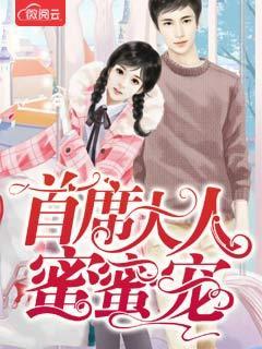 首席大人蜜蜜寵封面