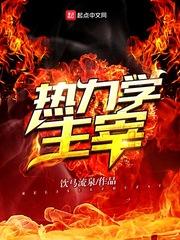 熱力學主宰封面