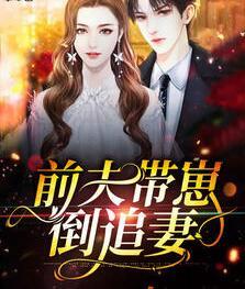 沈穎汐盛淮淵封面