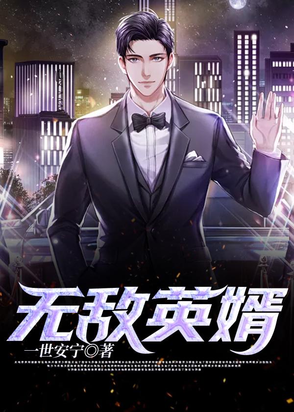 無敵英婿封面