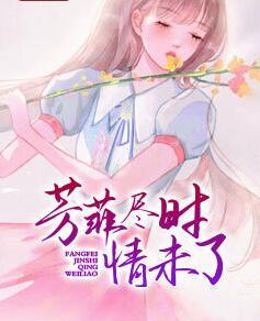 芳菲盡時情未了封面