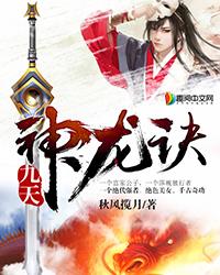 九天神龍?jiān)E封面
