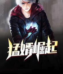 猛婿崛起封面