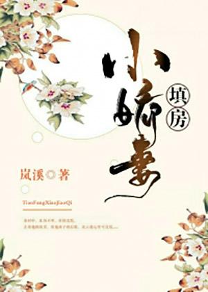 填房小嬌妻封面