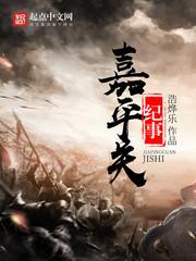 嘉平關(guān)紀(jì)事封面