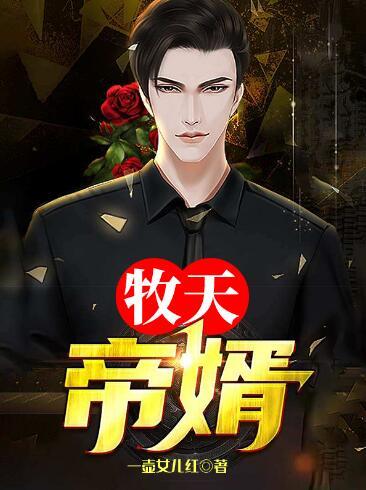 牧天帝婿封面