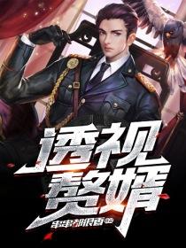 透視贅婿封面