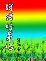 狩獵好萊塢封面