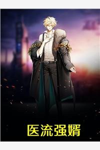 醫(yī)流強婿封面